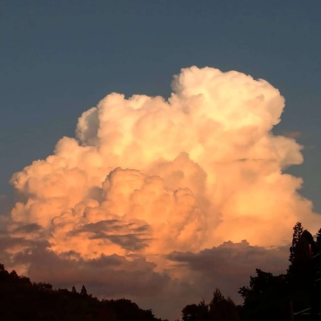 夕暮れの月 夕暮れの月