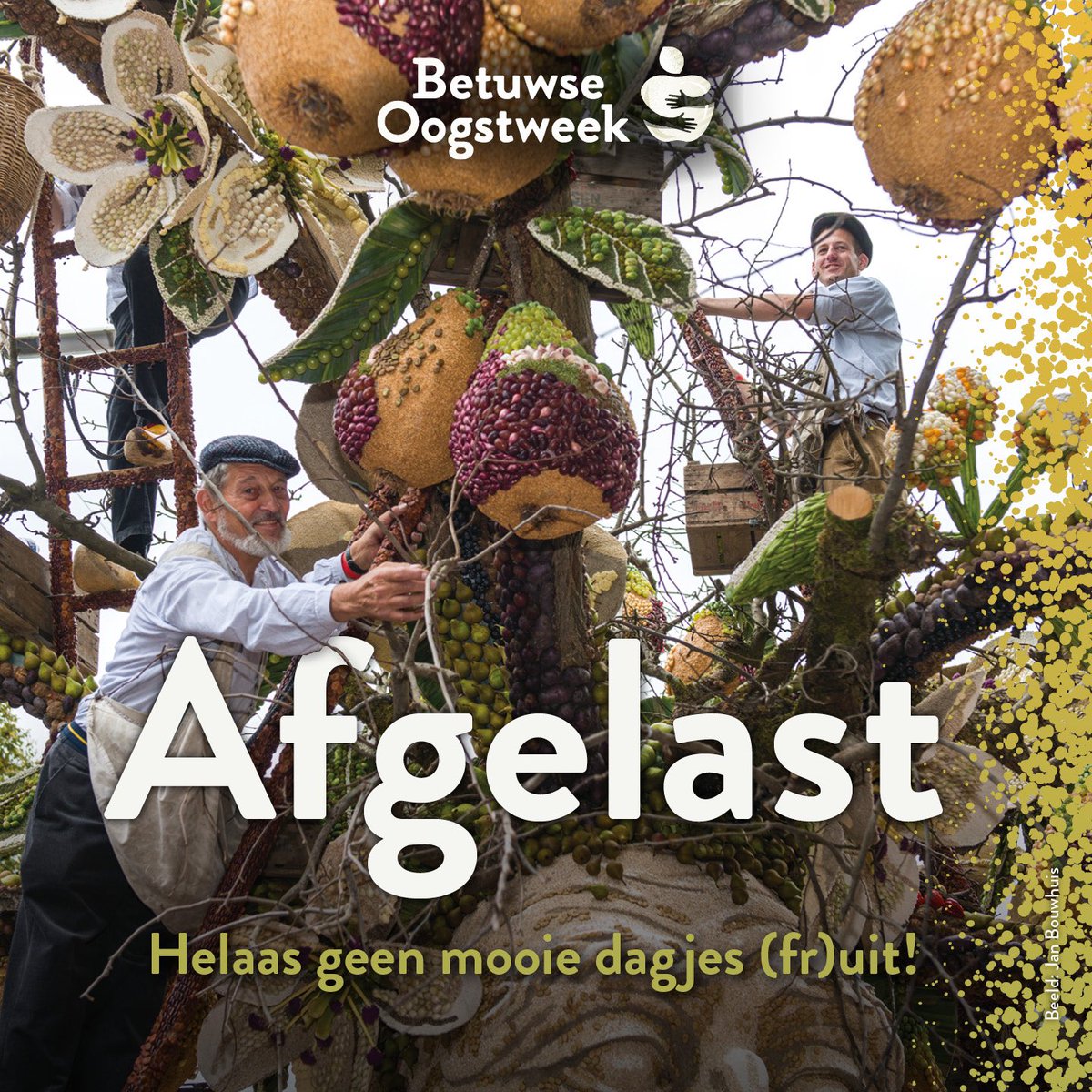 Betuwse Oogstfeest tweet media
