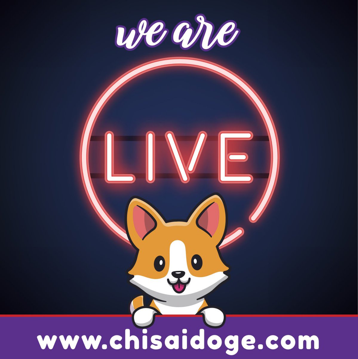 chisaidoge's tweet photo. 10k followers, Thank you Thank you Thank you 🥳🥳🥳🚀🚀🚀
#SHIBARMY $DOGE $HOKK $TEL #TRGI #SHIBASWAP #BABYDOGE #DOGEDADDY #MINIDOGE #CDC #CHISAIDOGE #CDCArmy #CHISAIDOGECOIN https://t.co/gBRUSDuzKd