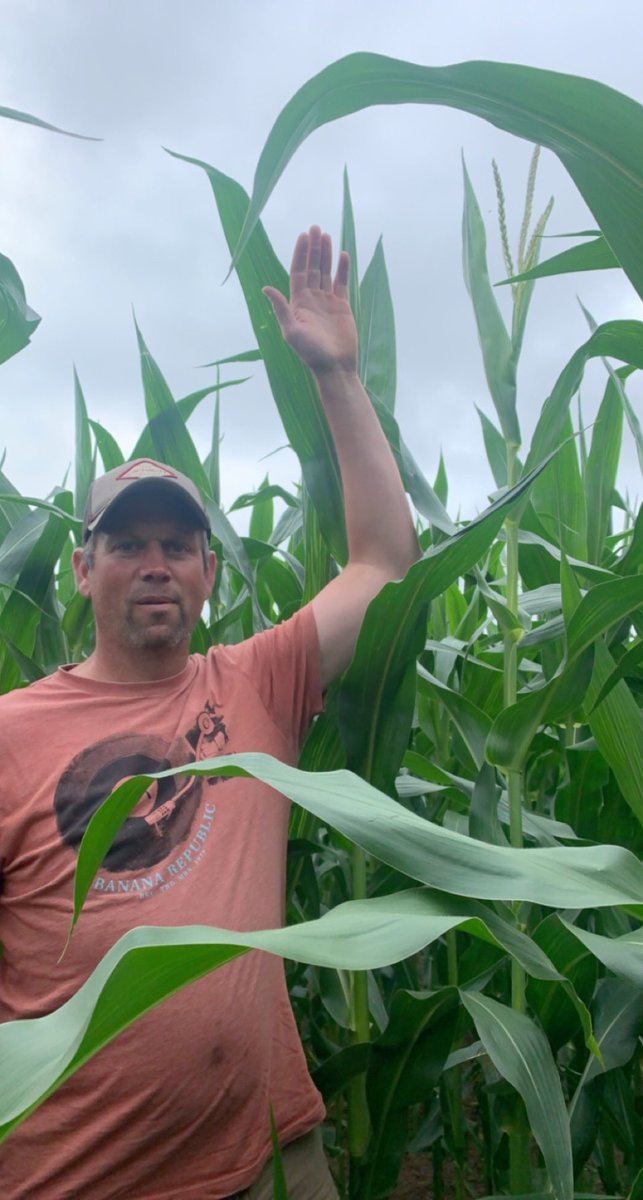 “Put that on your social media” corn starting to tassel!