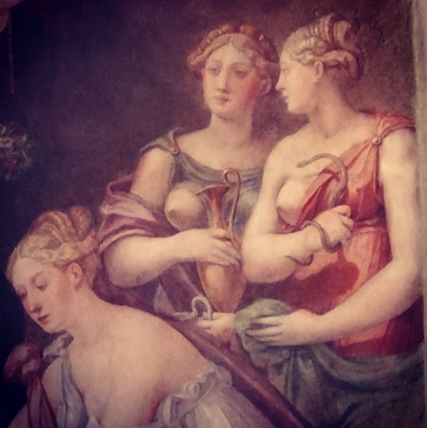 FazziLuigi's tweet photo. #VillaImperialePesaro
#leStanzeDeiDuchi
Sala della Calunnia:
Dea Benefica, Temperanza e Prudenza https://t.co/iyAWijFLEE