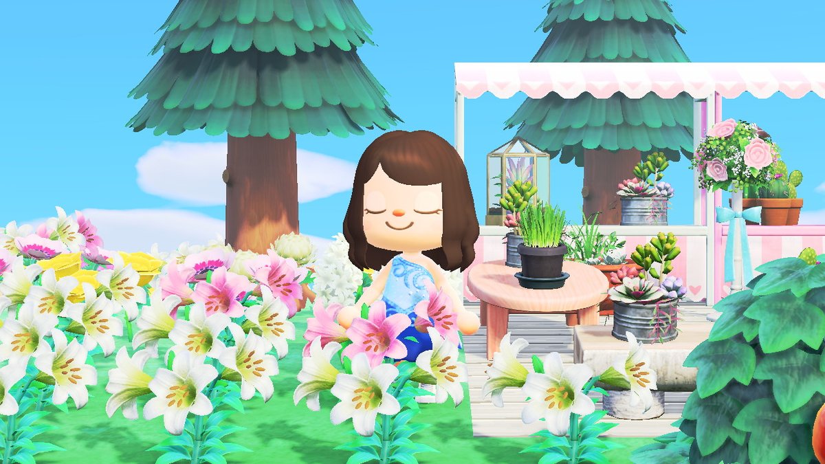 Jujuacnh's tweet photo. #AnimalCrossing #ACNH #NintendoSwitch#fairyisland
working in my first island. https://t.co/kNxMPXld5r