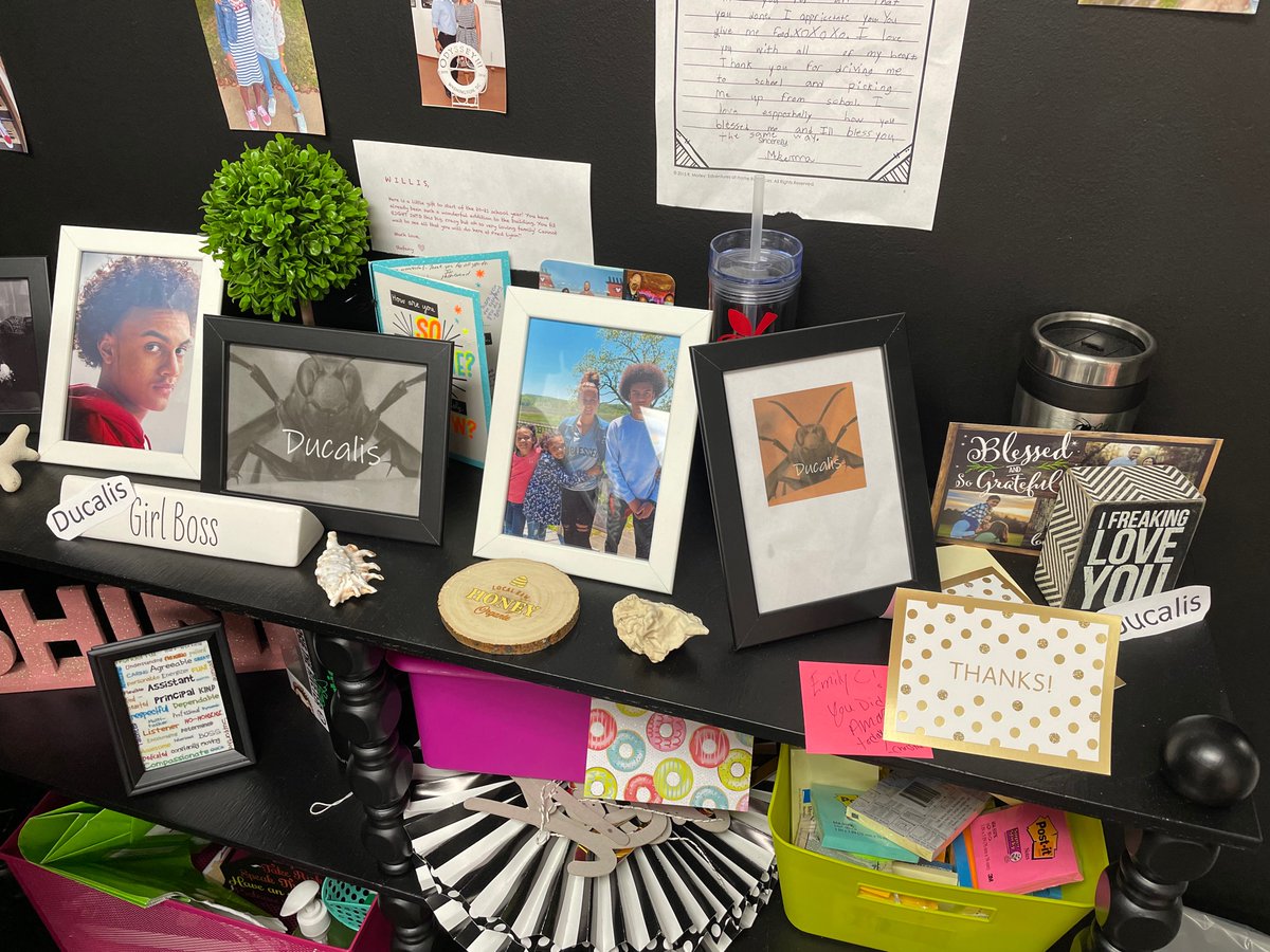 MrsKJCabacar's tweet photo. I think @Emily_Willis85 is embarassed to post this but Ducalis left her the proper greeting for her first day as AP! #FLHornets #Ducalis #5swarms1hive https://t.co/o4wTWgtK1W