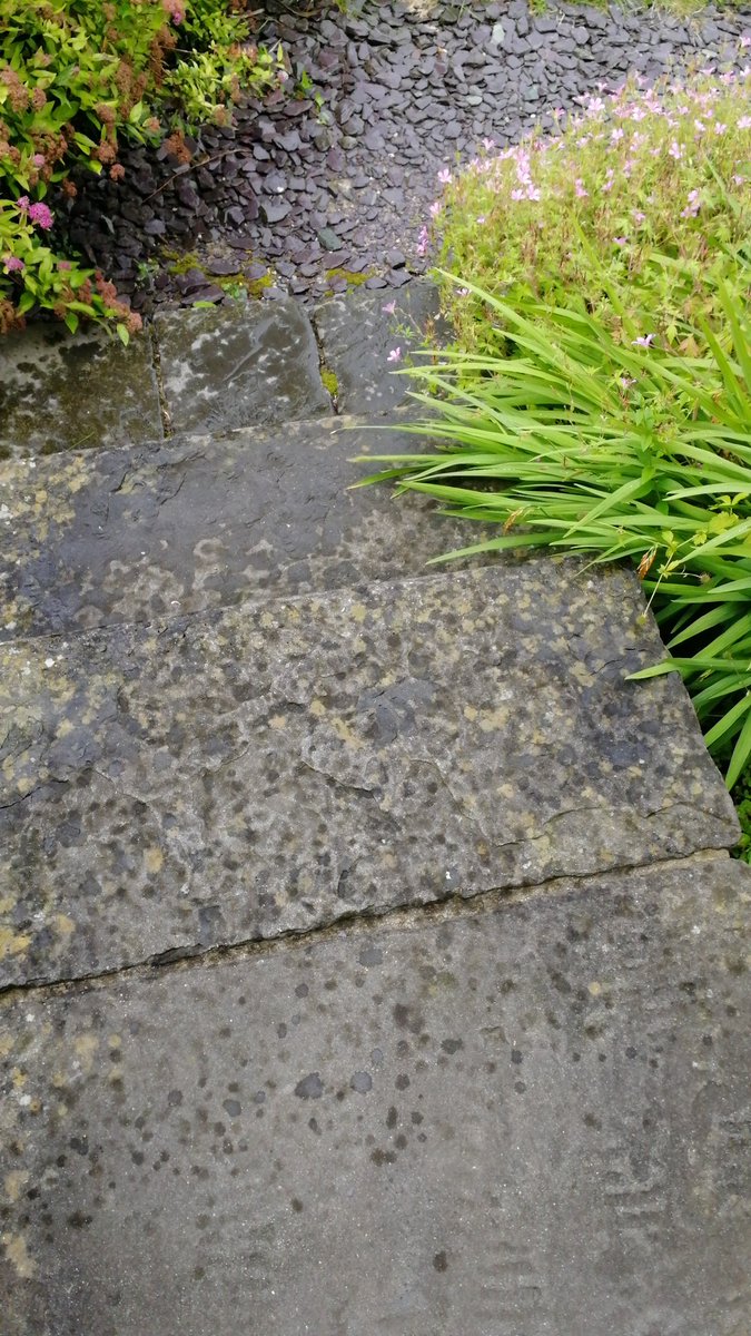 Just when you take a screen break a thunderstorm happens!  So tea inside but door open