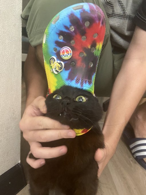 Okay we tried&hellip;&hellip; https://t.co/6AmbLIZLxW