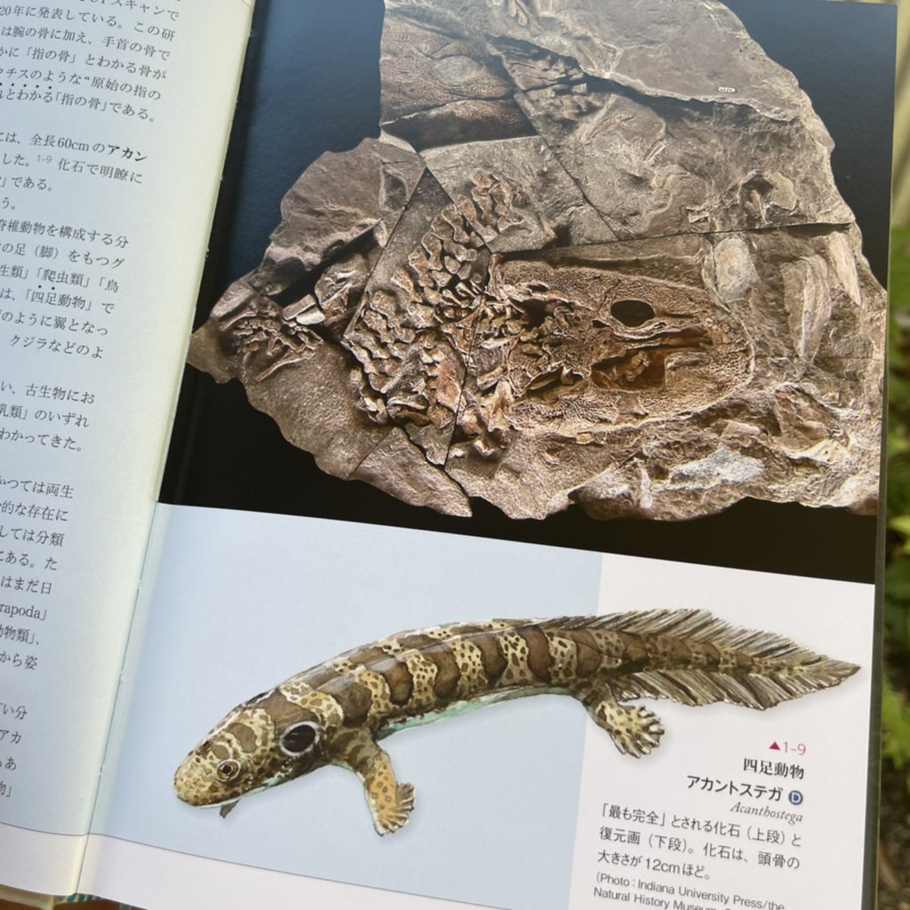 地球生命 水際の興亡史 (生物ミステリー(生物ミステリー プロ