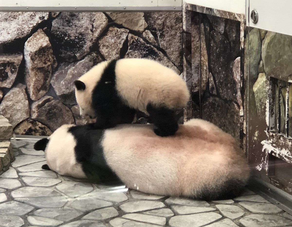 Innocentworld のリアルタイムtwitter ツイッター ほぼ一覧