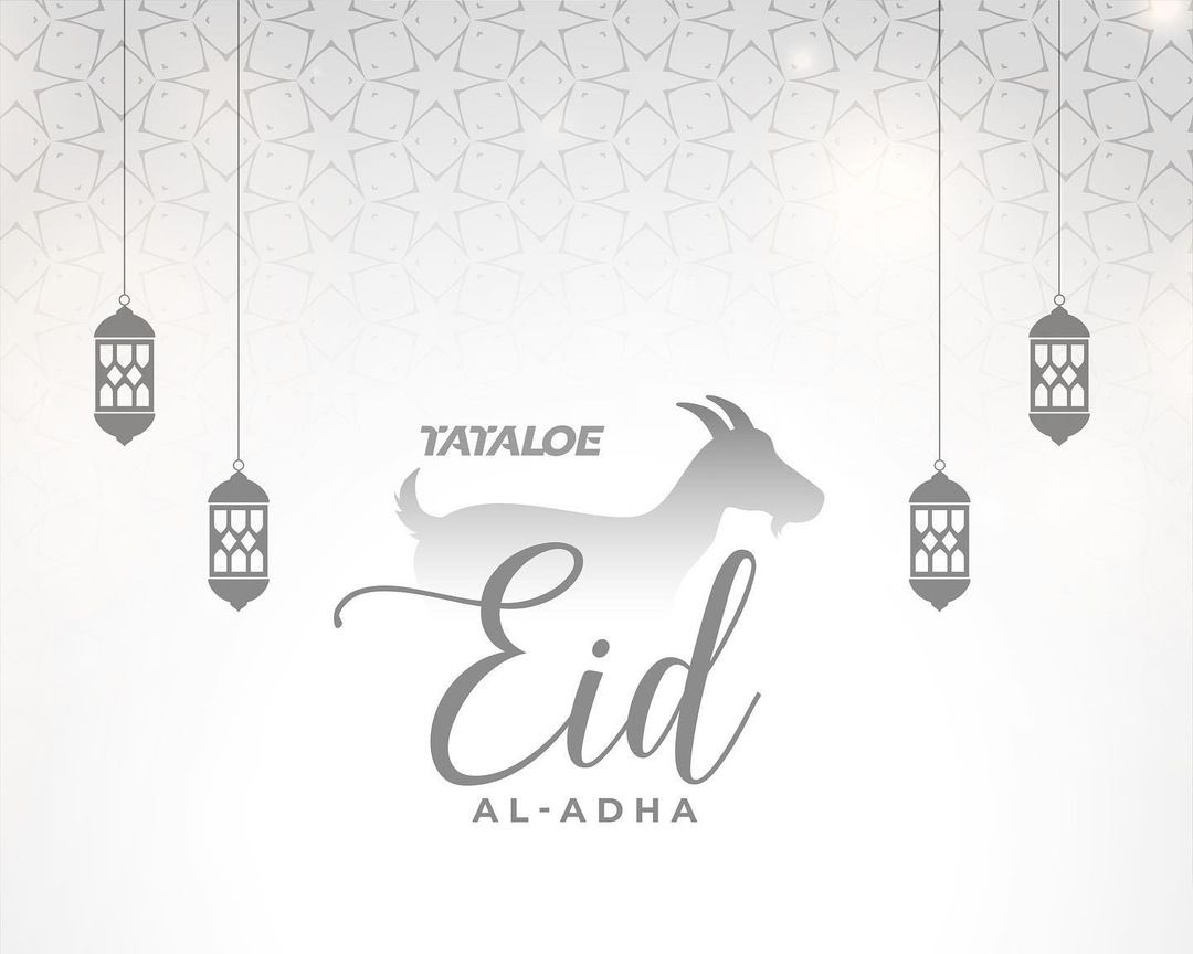 T A T A L O E tweet media