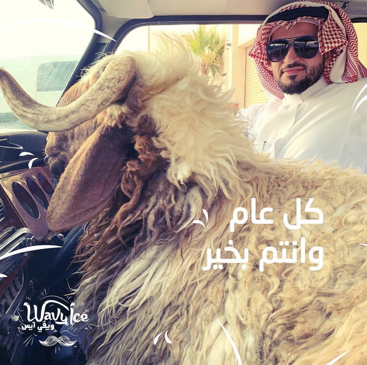 ويڤي آيس كافيه tweet media