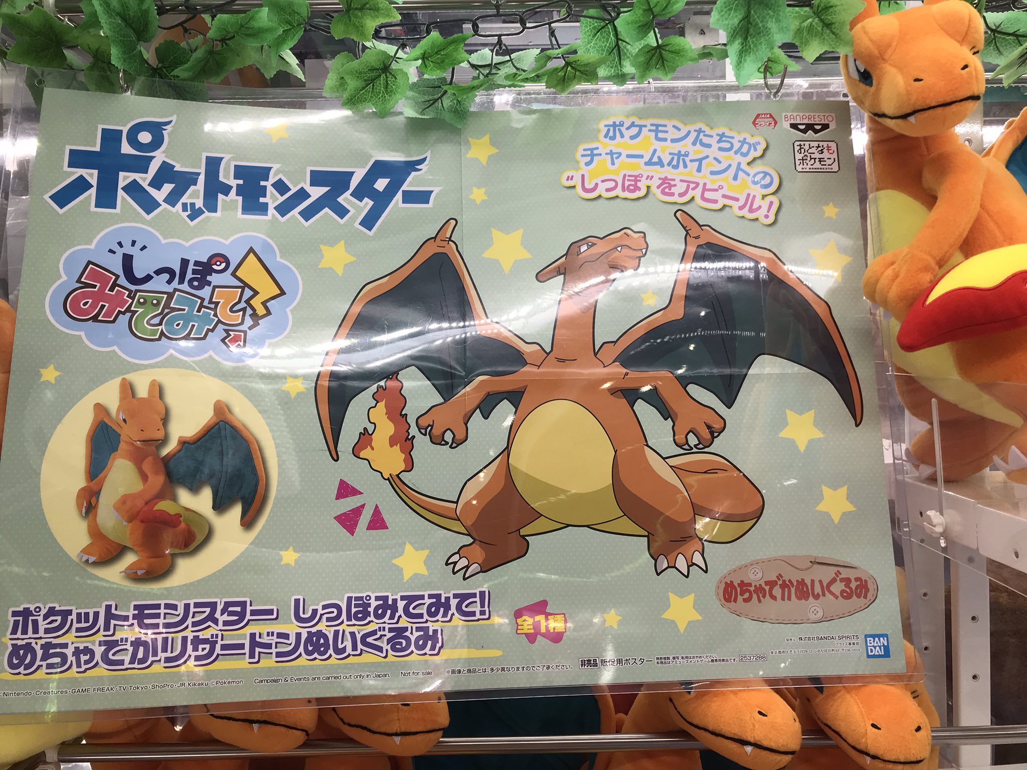 フェスタ古河中の人 On Twitter プライズ新商品 ポケットモンスターしっぽみてみて めちゃでかリザードンぬいぐるみ サンリオキャラクターズ シンプルカラー3ボックス付き収納ケース たべっ子どうぶつ収納バスケット ポケモン リザードン ハロー