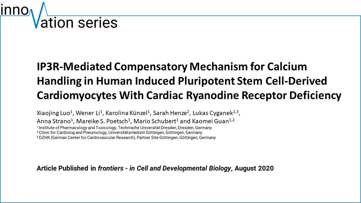 July's #innovation series article demonstrates the importance of RYR2 #calcium channel for the contractile function of human iPSC-cardiomyocytes and identifies an IP3R-mediated compensatory calcium mechanism in RYR2-/- lines.
innovitro.de/news/innovatio…
#iPS #Cardiomyocytes #calcium