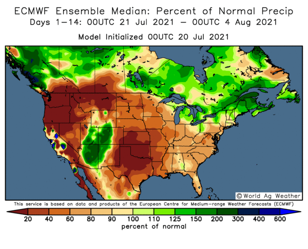 sizov_andre's tweet photo. US #grain belt is to remain drier than normal, as per ECMWF 
#corn #soybeans
#oatt https://t.co/EVF0d1jcEJ