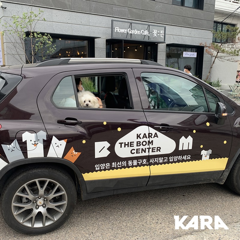 ekara_org's tweet photo. 대전 애니멀호딩 현장에서 구조되었던 시우가 평생 가족을 만났습니다.👏

시우가 오래오래 사랑받으며 행복한 강아지로 살아가길 바라며, 시우의 하나뿐인 가족이 되어주셔서 감사합니다.

시우 입양후기 > https://t.co/Sv3XsF7lfW https://t.co/09pq3mbzTH