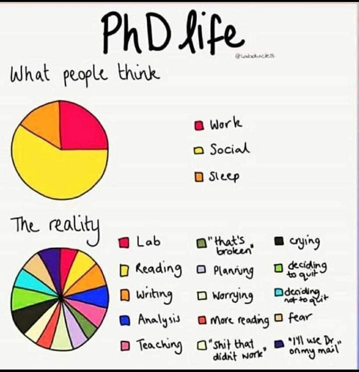 PhD Life. What people think vs Reality. #phdchat #phdlife #phdvoice #graduatestudents #PhDsofPakistan #PakiPhD