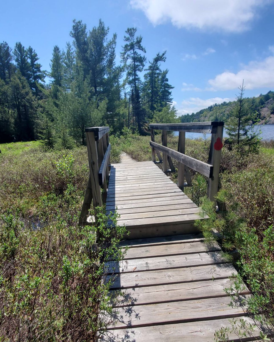 FofKillarneyP's tweet photo. Trail Tuesday is brought to you by the Friends favourite hikes in the park. Can you determine what trail this is?
.
.
.
.
#TrailTuesday
#SomewhereinKillarneyPark #FriendsofKillarneyPark #KillarneyProvincialPark #ExploreKillarney https://t.co/25L3CrgOsJ