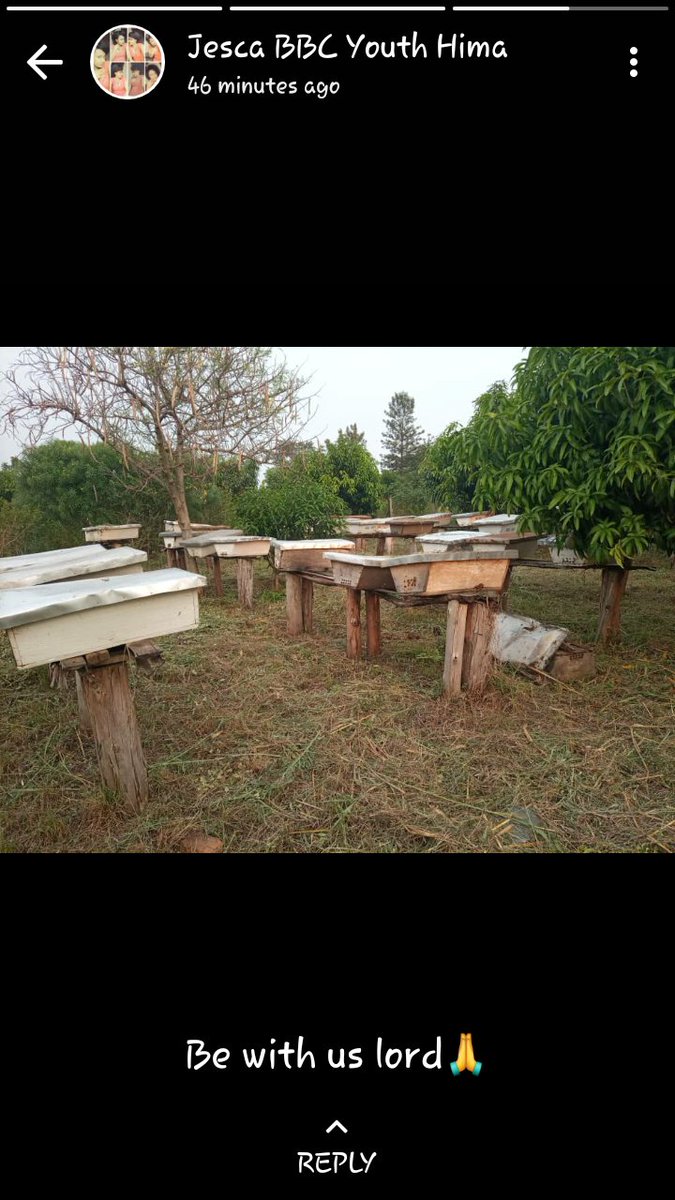 EnockAmpumuza's tweet image. Agribusiness will always win! #YouthInlockdown-Jesca Kahugi 22yrs-ex-trainee under #TheSKYproject &amp;amp; now @TheSAYproject harvested and sold 90kg of honey worth UGX 900,000 to Bunyangabo Beekeepers cooperative 4rm where she was skilled @SamotimRizzo @NLinUganda @FondazioneAVSI #SOP