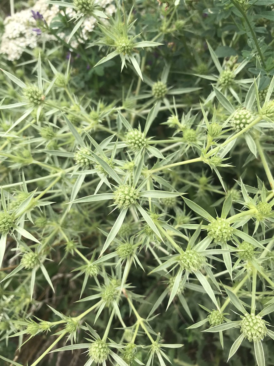 Lukas Ferkl 🪨 tweet media