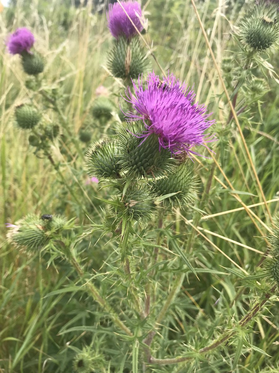 Lukas Ferkl 🪨 tweet media