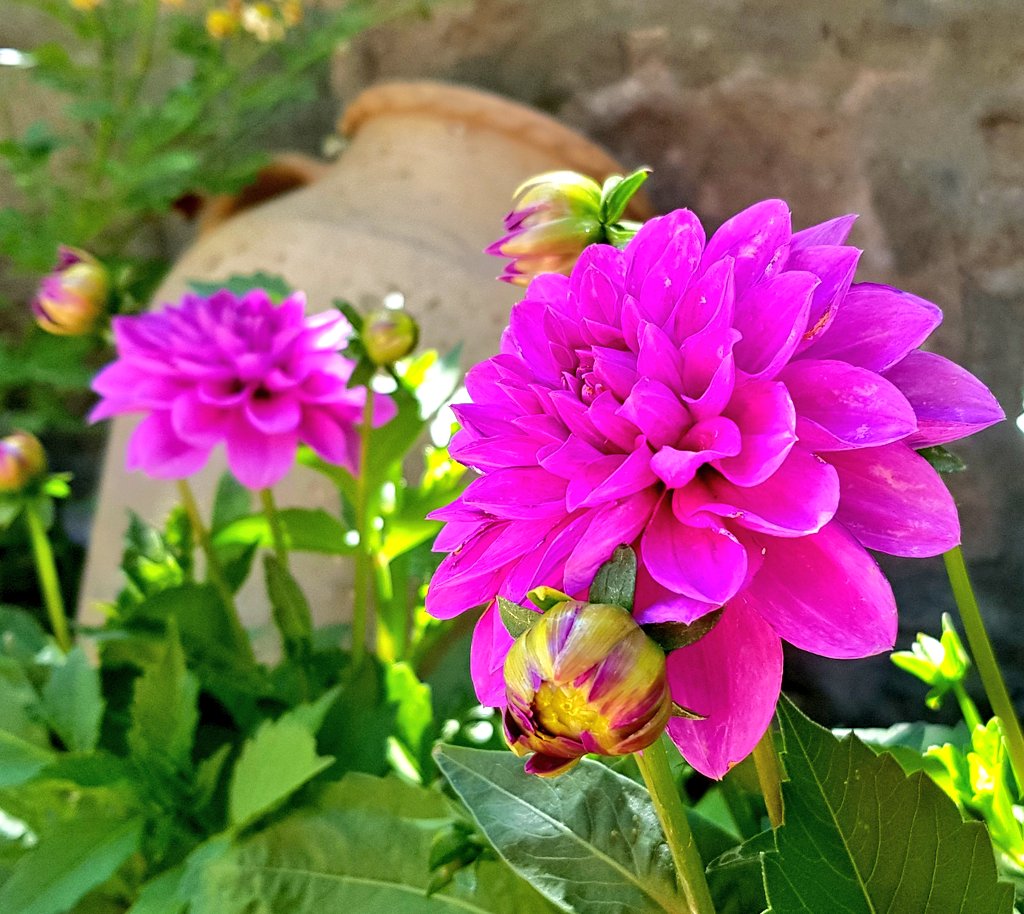 Sevdiklerinizle birlikle nice mutlu bayramlara..🍬😘