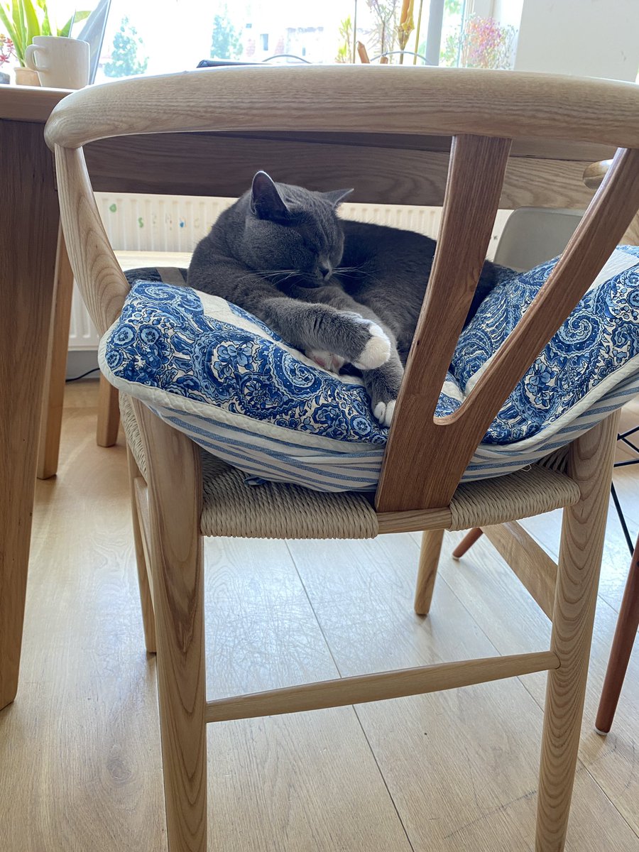 Master of Chill Out.