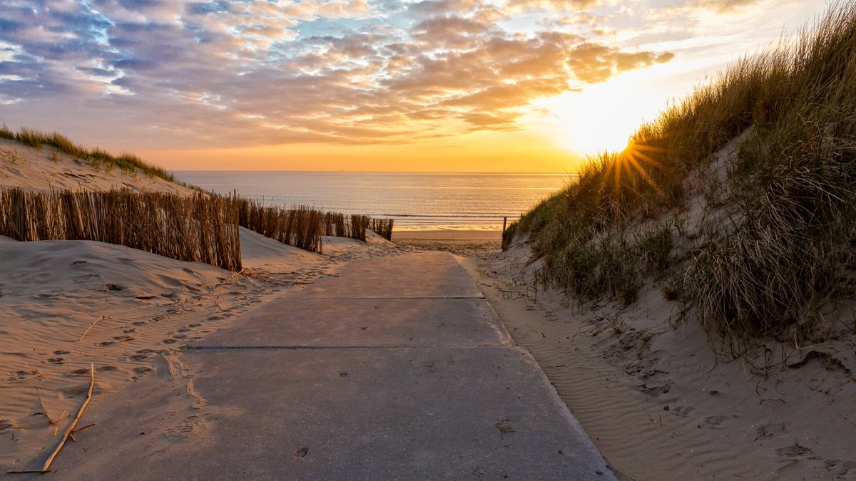 Do you want to know which wheelchair friendly beaches you can visit to relax and soak up the sun?   Find out information on the best wheelchair-friendly restaurants, tourist attractions and accommodations in those areas.
👉 bit.ly/3xSKwCK