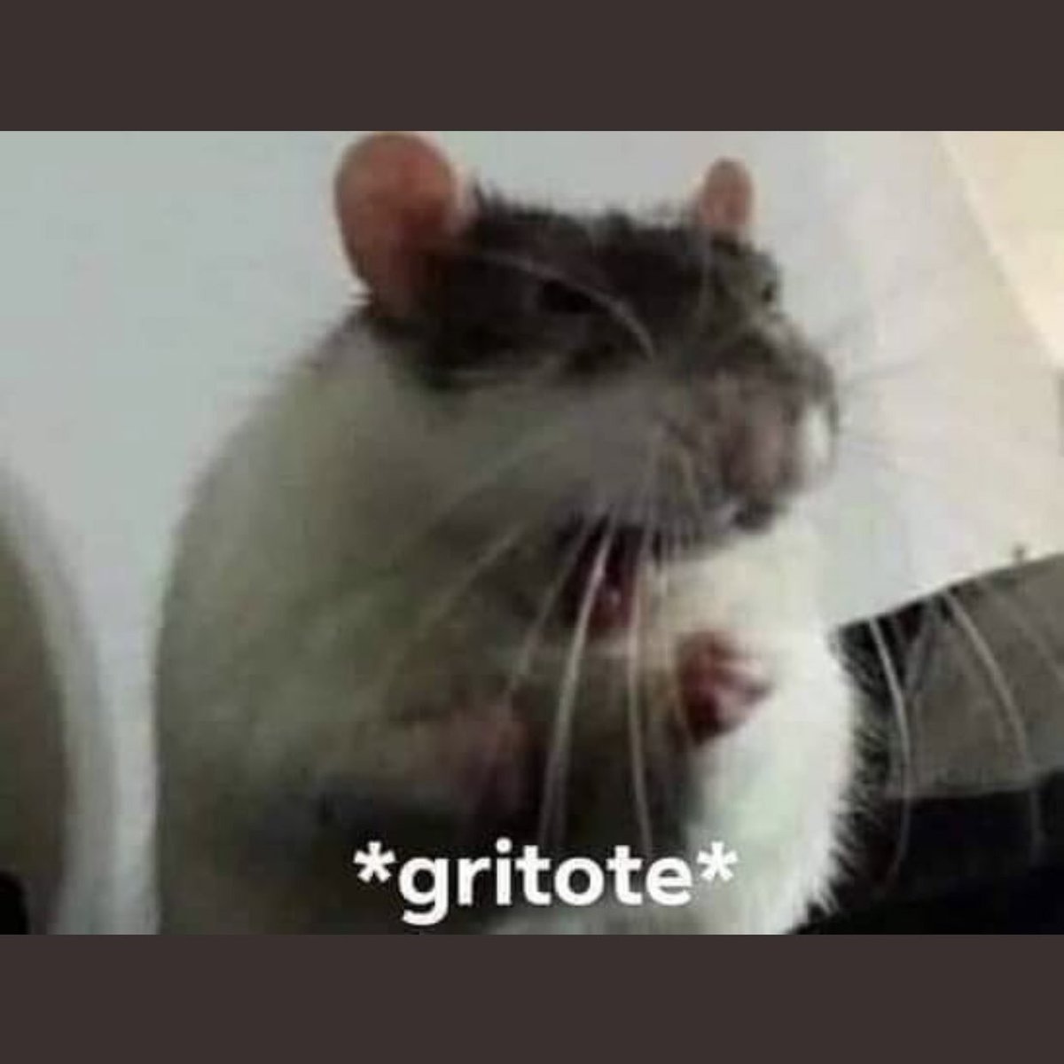 natslvsbooks's tweet photo. Buenas tardes, como siempre llegando tarde a todo. #ApoloIsBack ya me leí el capitulo y NO MANCHES ESTUVO INCREIBLE. Y me encanta que todos sospechemos que Apolito le va a las 2 canoas. Mis esperanzas de que haya ApoloxDani 📉 Resumen de mi persona en este momento: https://t.co/PfhMTJ1yuP