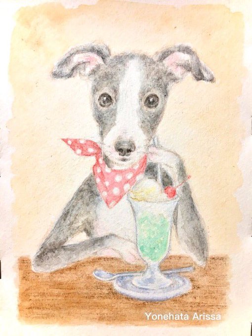 イタグレのtwitterイラスト検索結果