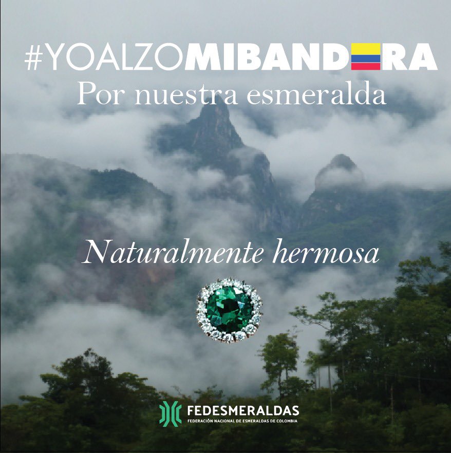 Fedesmeraldas's tweet image. #YoAlzoMiBandera