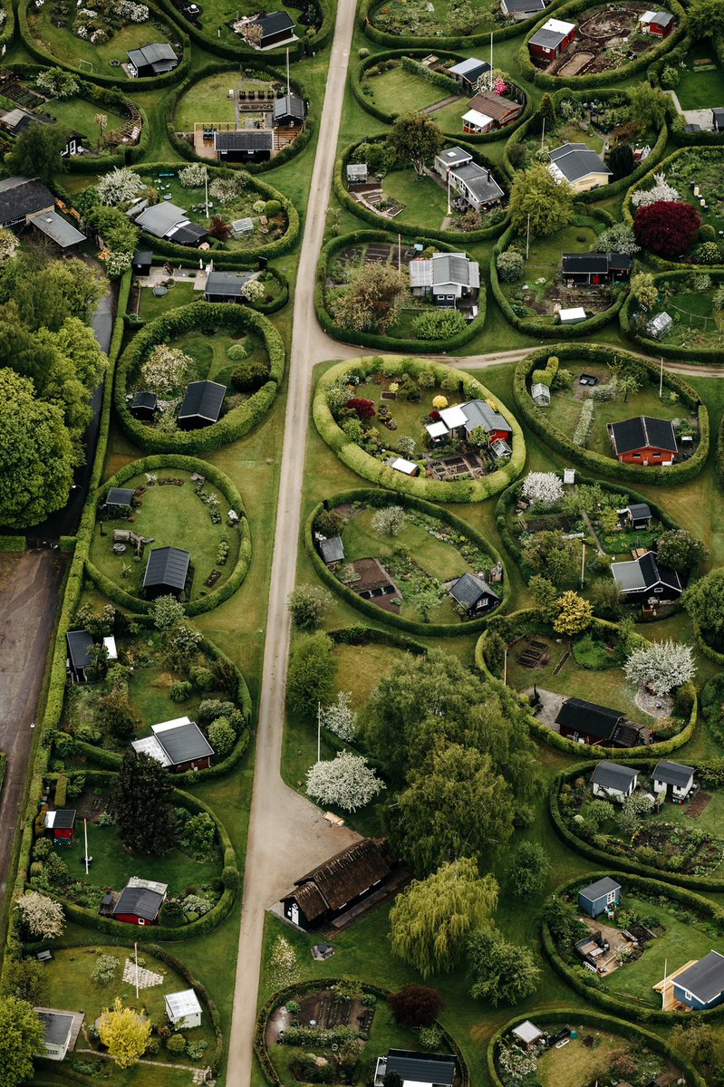 CosedisNicolas's tweet photo. A closer look at The Round Gardens of Nærum from my little airplane. 🌳💚🌳 Søren Carl Theodor Marius Sørensen is considered one of the greatest landscape architects to have ever lived, and these oval gardens designed in the late 1940s are one of his most famous projects. https://t.co/9sjNvB44tB