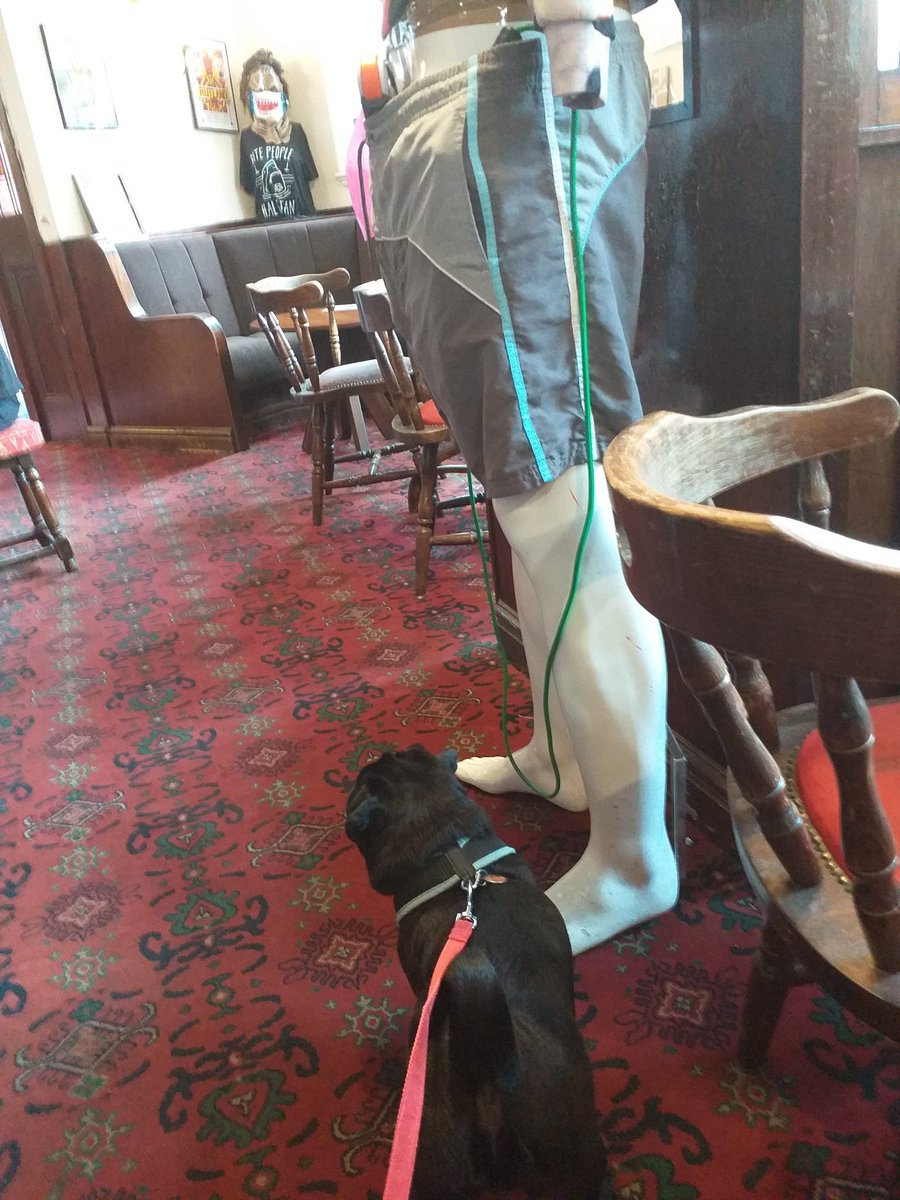 FatherSpartacus's tweet photo. Winston has finally made it to @RutlandArms #LuckyPug https://t.co/TsIrwqylbz