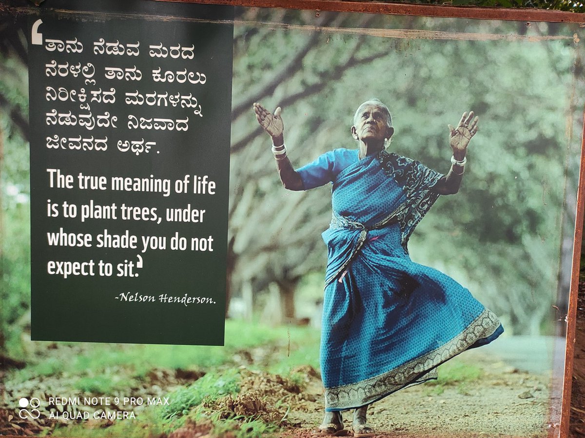 Mysore forest division tweet media