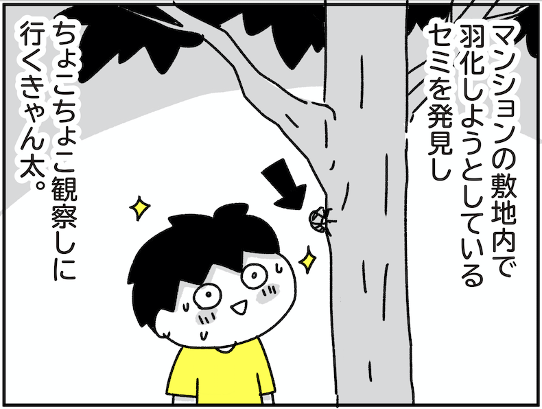 ブログ更新しました。

きゃん太とセミ - ちょっ子さん https://t.co/2PKgx66sxM 
