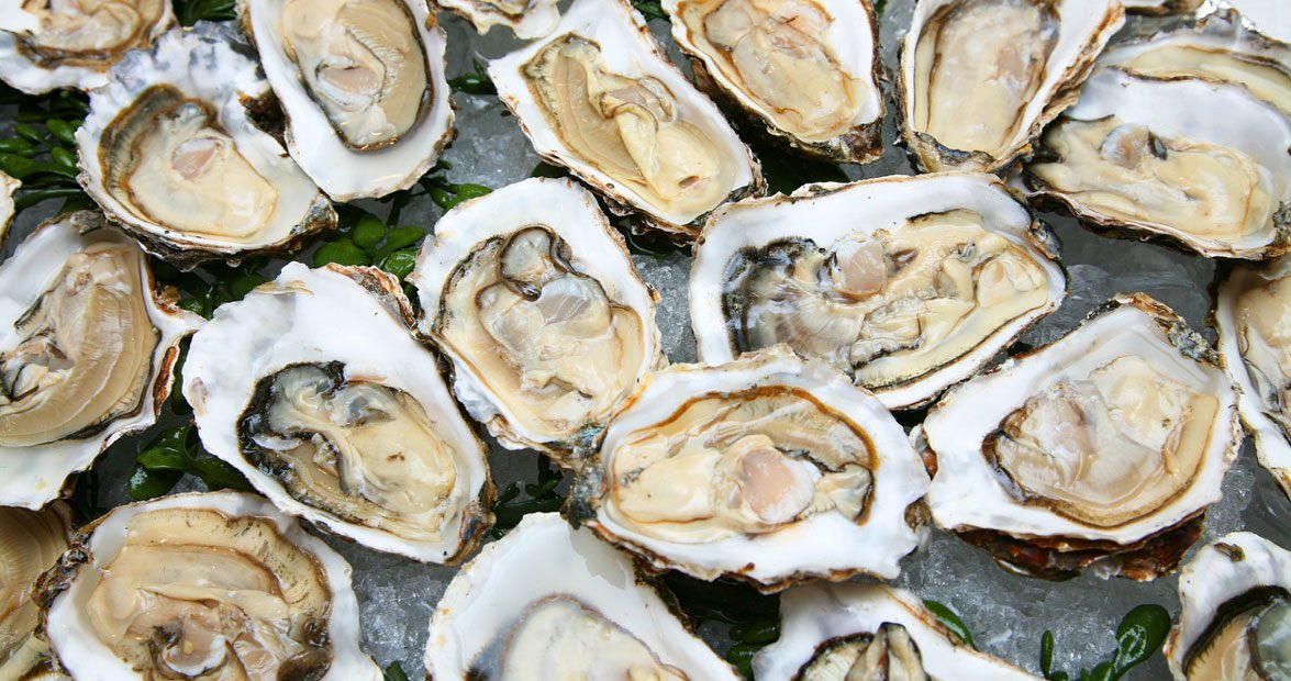 odie0222's tweet photo. Vibrio parahaemolyticus: Contaminated oysters 🦪 and seafood from fresh and salt waters leads to GI, occasional wound and septicemia. Oxidase + Indole + Lactose = and TCBS blue-green growth.
#PathTwitter #MedEd #pathBoards #pathtwitteraward #lab4life #IdBoardReview #microbiology https://t.co/Bk2Wp9fjcp