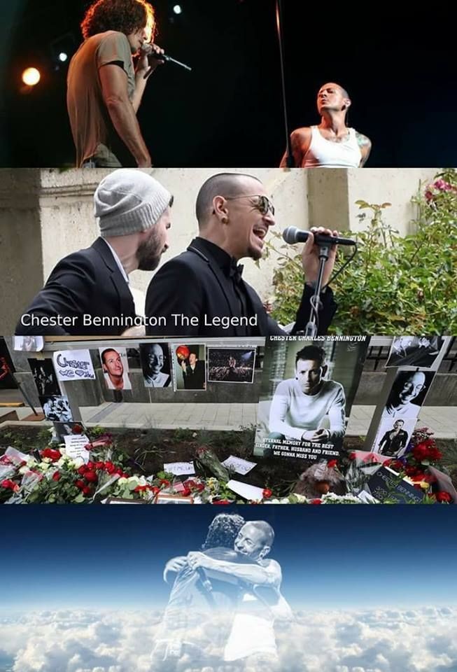 Natalia_Chrapek's tweet image. My heart 😔😢💔
#RIPChris
#RIPChester