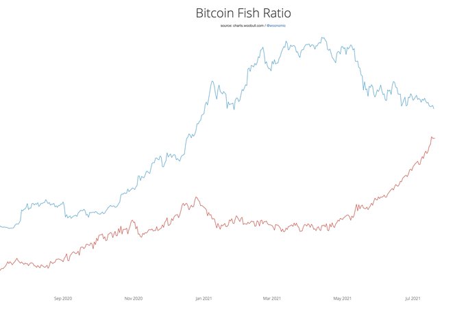 mercado bitcoin