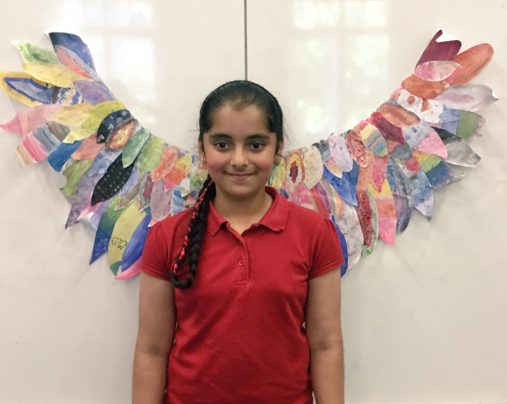 MissMyllymaki's tweet photo. We got so inspired by Skellig by David Almond that we decided to make classroom wings for ourselves @Centralprimary! Every pupil painted a few feathers and we attached all of them together. The outcome looks great! #ArtIsCentral https://t.co/lIgfJdjttI