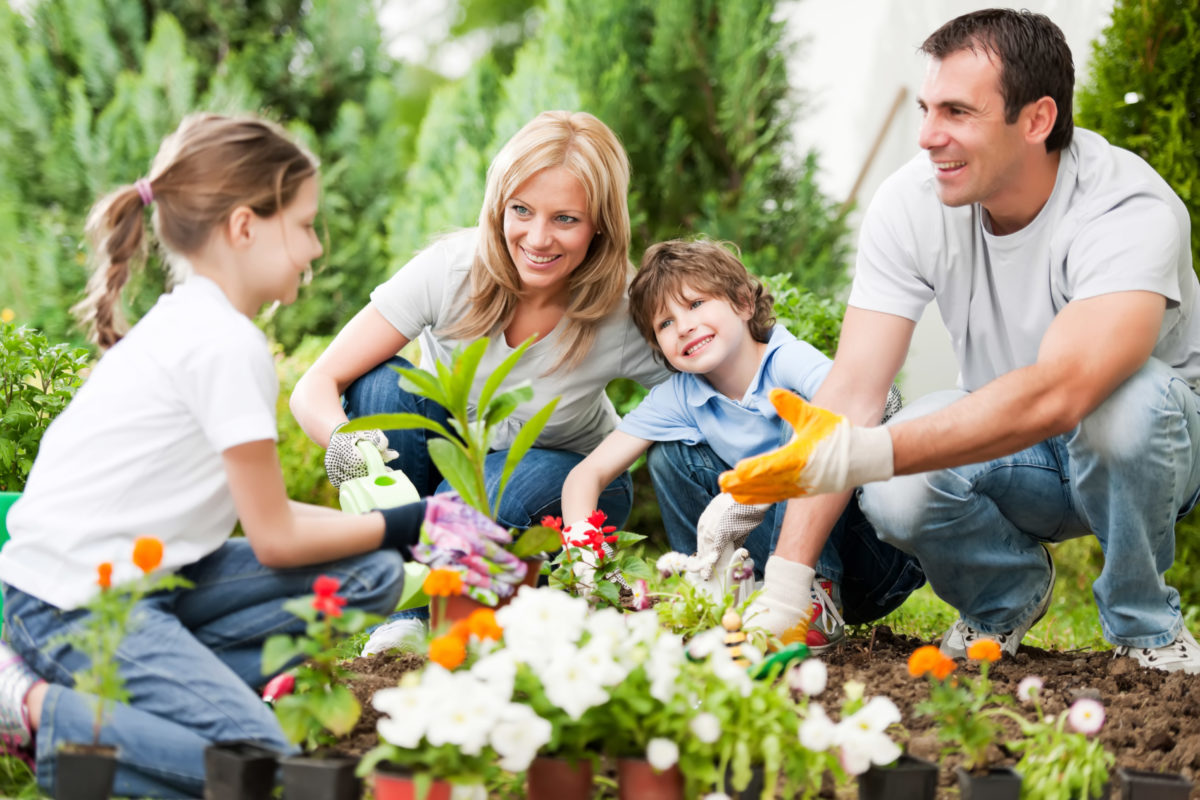 CompostAnd's tweet image. Family Gardening is an educational program for all family members, both children and adults. It is designed to help participants understand the importance of good nutrition. 
.
See More: happycompost.com
.
#gardening #usa #educational #healthy #healthy