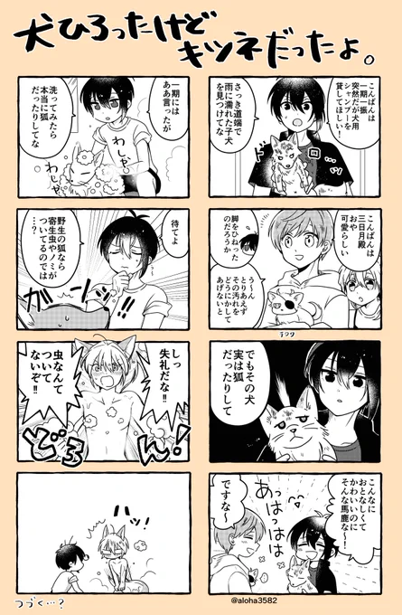 【みかんば】前に呟いたまんばちゃんお狐パロこの後ちょぎつねが追っかけてきて滅茶苦茶になる。粟田口で飼われているチワワの名は鬼丸 