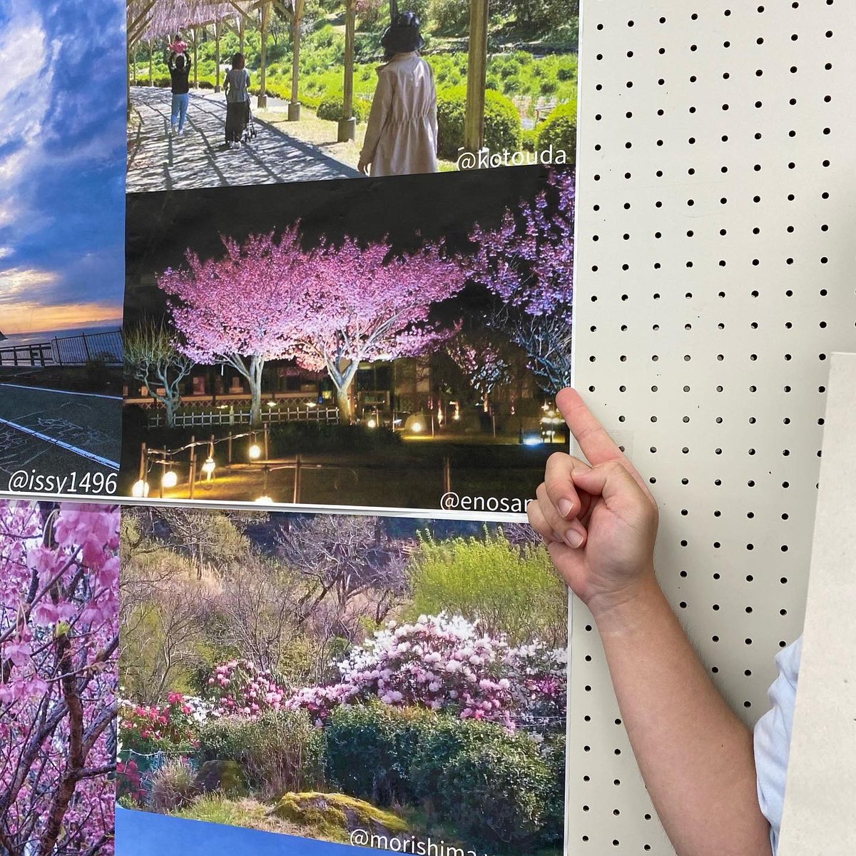 函南のえのさん🌸🗻浜松と伊豆市を旅したい tweet media