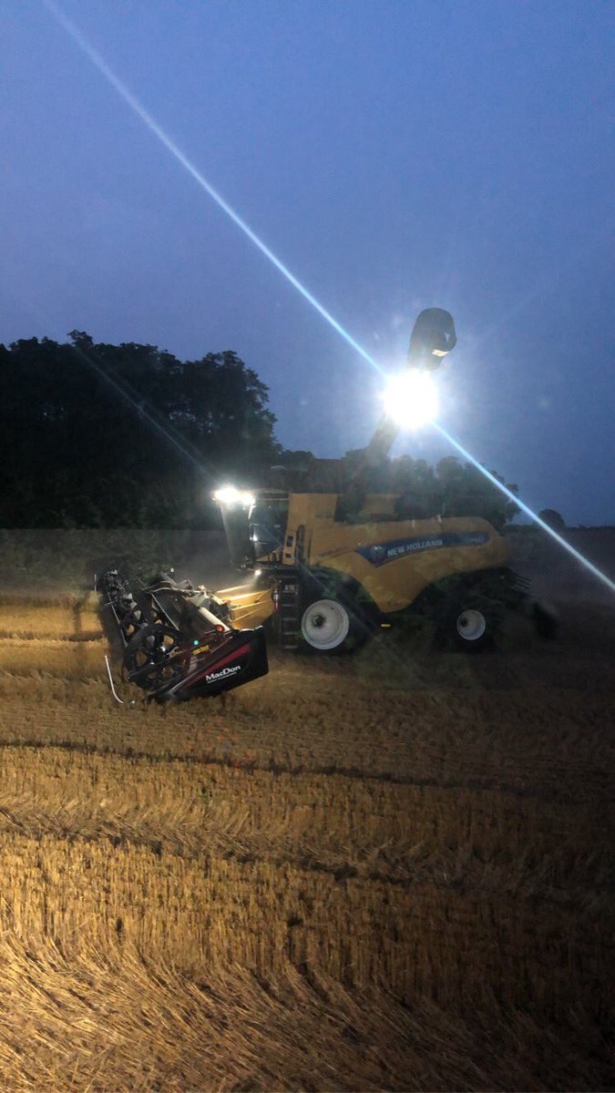 AertTyson's tweet photo. Ran the buggy a bit the other day.       I have since been sent back to the big leagues (spreadin shit) https://t.co/ACaHcdvXCI