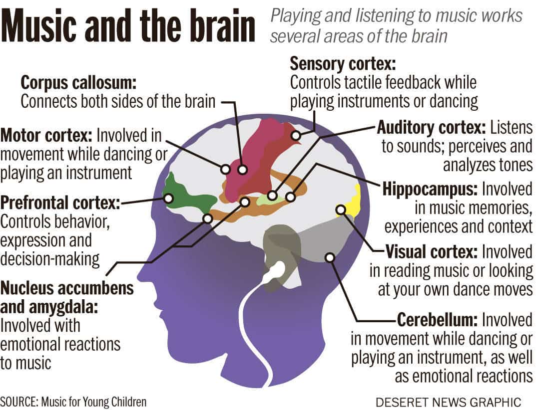 LEAD_Coalition's tweet image. Please reTweet to raise awareness about the power of #music on the #brain.

#neuroscience #Alzheimers #dementia