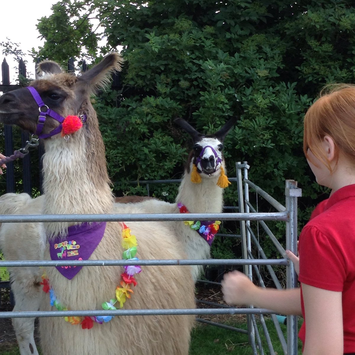 DisplayWBJS's tweet image. ⁦@WBJJuniorSchool⁩