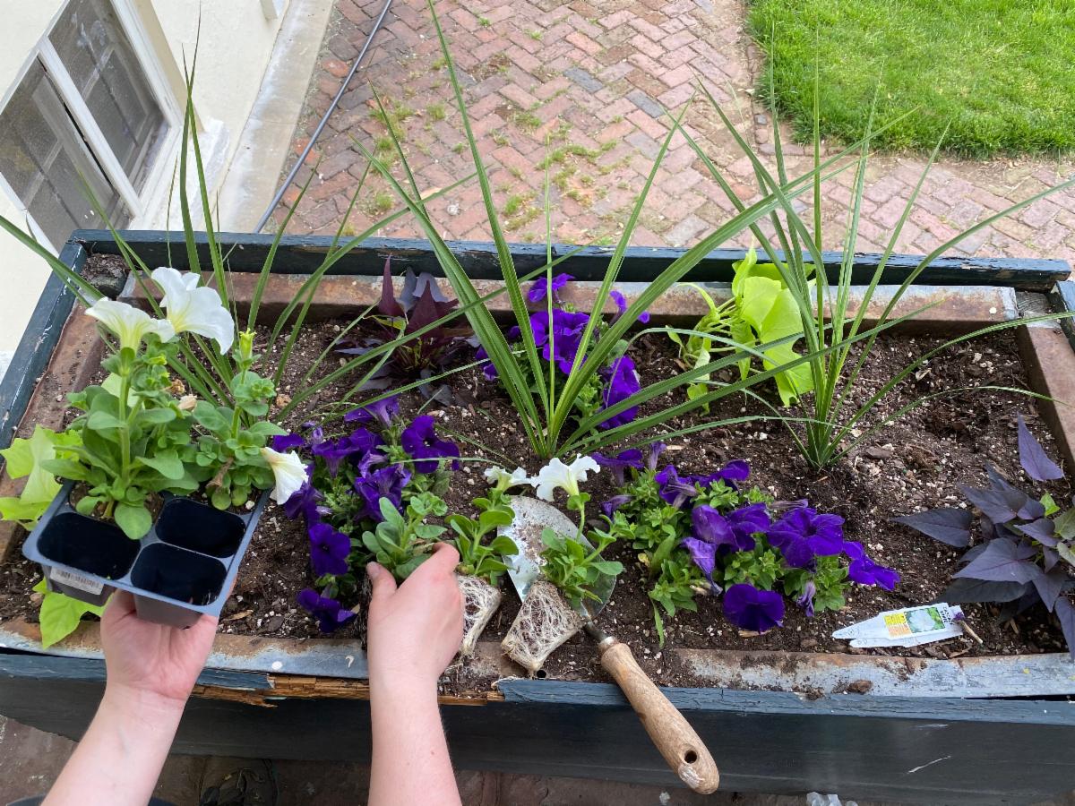 Oatlands tweet media