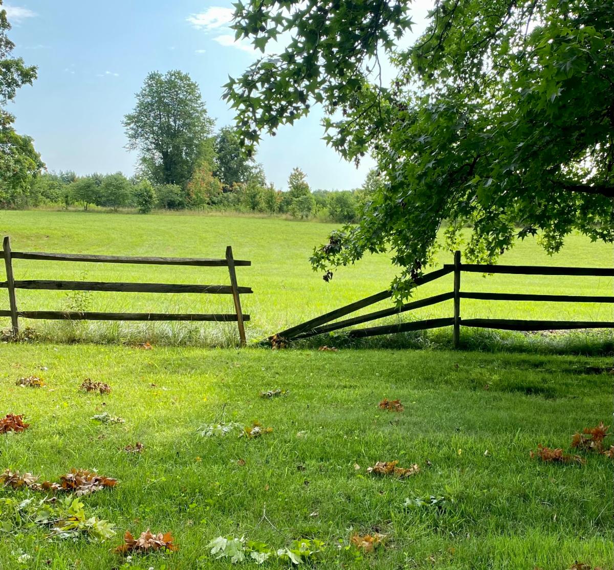 Oatlands tweet media