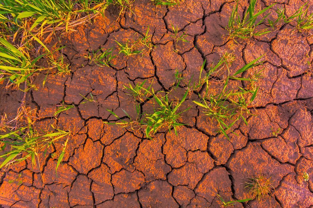 MeritCorpLLC's tweet photo. Planning for Climate Change– Getting Ahead of Coming Infrastructure Growth

https://t.co/pLSsZJYmnG https://t.co/FtNWLk6V0Z