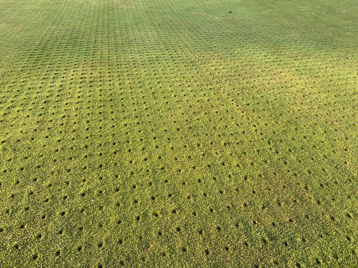 Chris Low tweet media