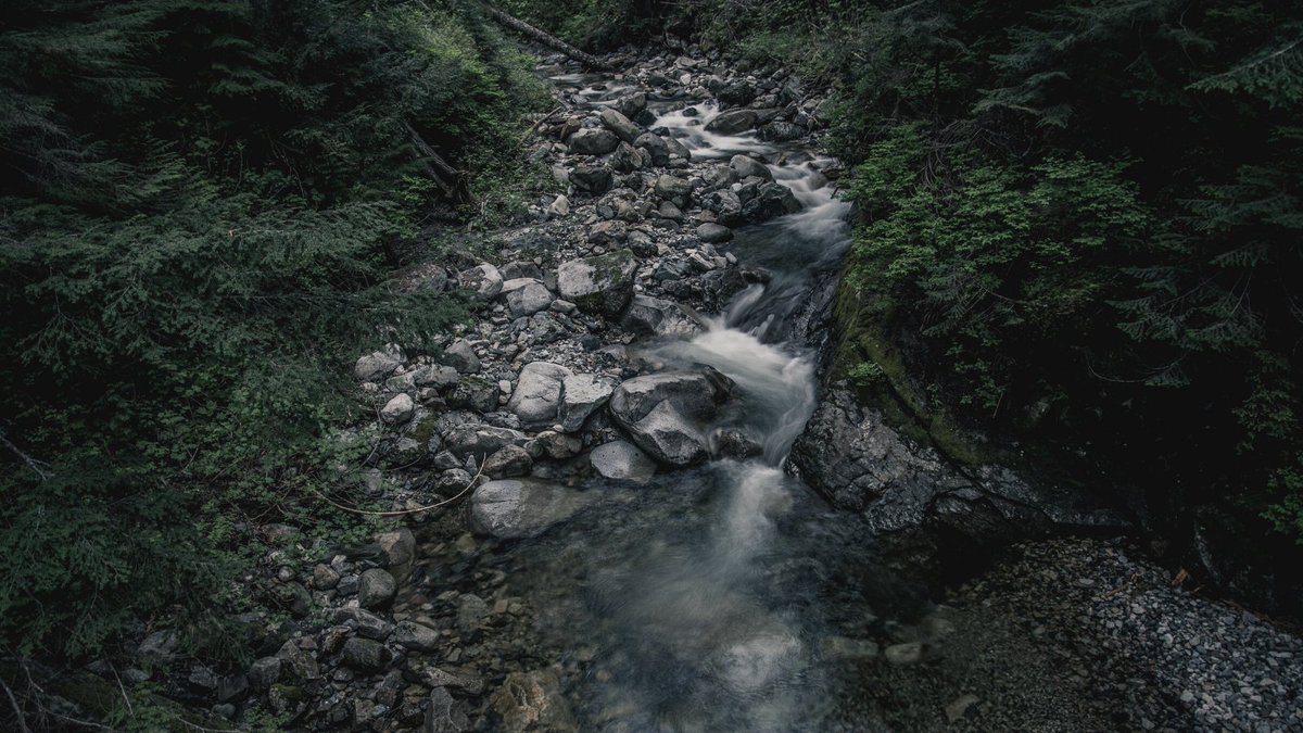 terrahaleLDN's tweet photo. When things change inside you, things change around you 🌿 https://t.co/11422Gx40M