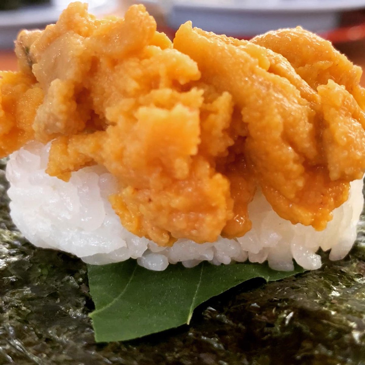 samurai_junjiro's tweet photo. Until the release of the YouTube channel
3 days!

#japan 
#japanesefood 
#japanesefoods 
#tokyo 
#sushi 
#kurasushi 
#uni 
#tuna 
#maguro 
#arkshell 
#くら寿司 https://t.co/2op1latOOS