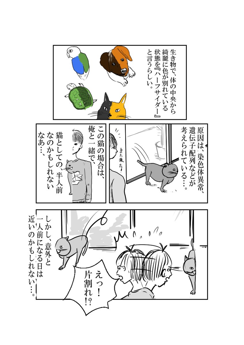 Twoucan ハーフサイダー の注目ツイート イラスト マンガ コスプレ モデル Twoucan ハーフサイダー の注目ツイート イラスト マンガ コスプレ モデル