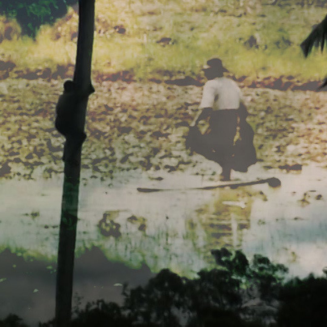 Meet the Documentary Media class of 2021! 🎓 Roya Biazar presents 'Grandaughter' on August 5-27 at Gallery 1313. Learn more about Doc Now here: bit.ly/3kx0ui4